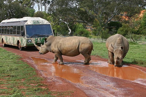 The Ultimate Melbourne Attractions Pass - Kawana Tourism 4