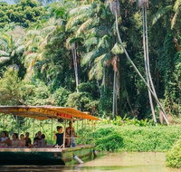 Tropical Fruit World Farm Full Tour - Kawana Tourism