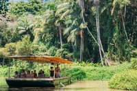 Tropical Fruit World Farm Full Tour, Surfers Paradise