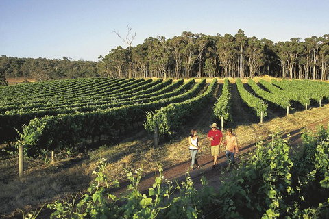 Margaret River, Caves, Wine And Cape Leeuwin Lighthouse Tour From Perth - Kawana Tourism 1