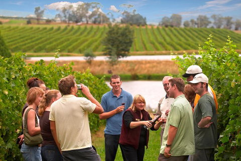 Yarra Valley Balloon Flight And Winery Tour - Kawana Tourism 4