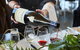 Yarra Valley Gourmet Small-Group Ecotour From Melbourne - thumb 3