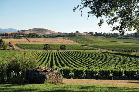 Small Group 6 Guests: Ultimate Yarra Valley Food And Wine - Mercedes Van - Kawana Tourism 4