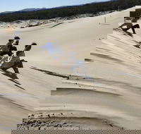 Port Stephens Bush Beach and Sand Dune 4WD Tag-Along Tour - Kawana Tourism