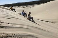 Port Stephens Bush Beach and Sand Dune 4WD Tag-Along Tour