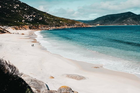 Small Group - Wilsons Promontory Hiking Day Tour From Melbourne - Kawana Tourism 2