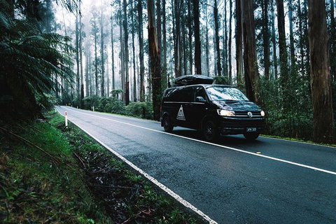 Small Group - Wilsons Promontory Hiking Day Tour From Melbourne - Kawana Tourism 4