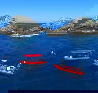 3-Hour Byron Bay Certified Scuba Diving Tour - Kawana Tourism