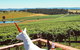 Yarra Valley Wine & Food Tour Departing From Melbourne - thumb 1