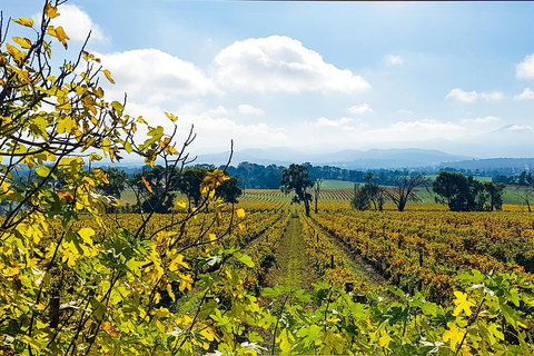 Yarra Valley Wine & Food Tour Departing From Melbourne - Kawana Tourism 4