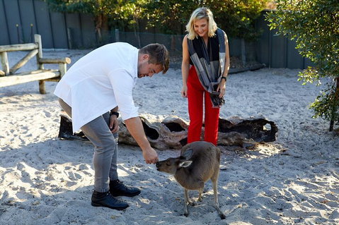 Albany's Whale Story - Kawana Tourism 1