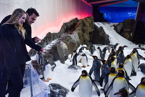 Penguin Passport At SEA LIFE Melbourne Aquarium - Kawana Tourism 0