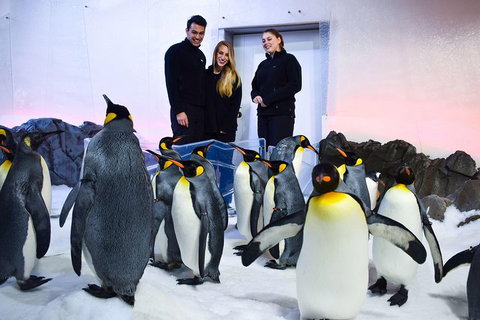 Penguin Passport At SEA LIFE Melbourne Aquarium - Kawana Tourism 4