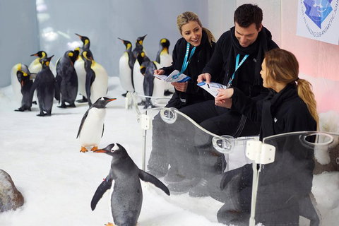Penguin Passport At SEA LIFE Melbourne Aquarium - Kawana Tourism 5