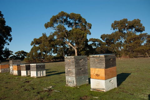 Fine Flavours - Full Day Kangaroo Island Food & Wine Tour - Kawana Tourism 1