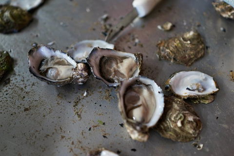 Fine Flavours - Full Day Kangaroo Island Food & Wine Tour - Kawana Tourism 2