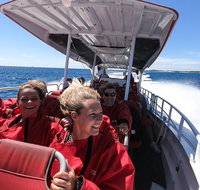 Adventure Rottnest Tour with Ferry  Adventure Cruise from Perth or Fremantle - Kawana Tourism