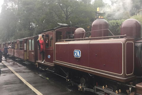 Puffing Billy, Moonlit Sanctuary & Penguins Day Tour - Kawana Tourism 4