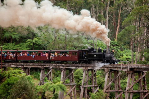 Melbourne Combo: Great Ocean Road, Puffing Billy, Moonlit Sanctuary & Penguins - Kawana Tourism 1