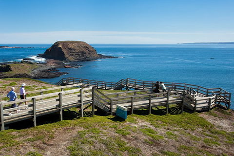 Melbourne Combo: Great Ocean Road, Puffing Billy, Moonlit Sanctuary & Penguins - Kawana Tourism 5