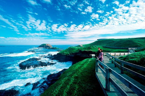 Melbourne Combo: Great Ocean Road + Phillip Island Express + Attraction Pass - Kawana Tourism 1