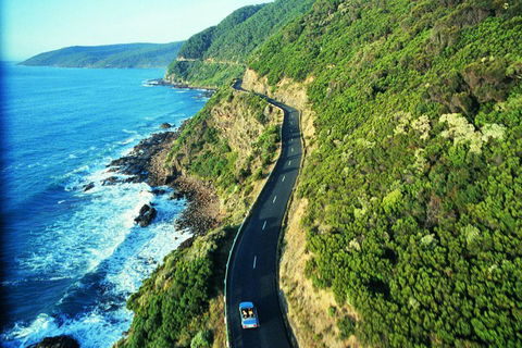 Melbourne Combo: Great Ocean Road + Phillip Island Express + Attraction Pass - Kawana Tourism 4