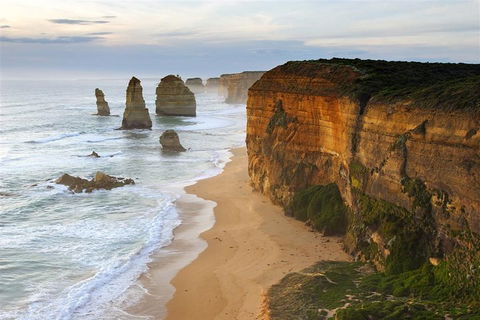 Melbourne Combo: Great Ocean Road + Phillip Island Express + Attraction Pass - Kawana Tourism 5