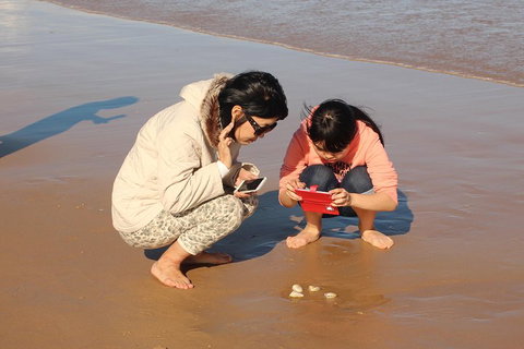Beach & Dune - Kawana Tourism 2