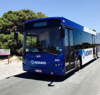 Rottnest Bayseeker Bus Tour from Hillarys Boat Harbour - Kawana Tourism