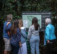 Sunshine Coast Hinterland and Noosa Day Trip from Brisbane Including Eumundi Markets and Ginger Factory - Kawana Tourism