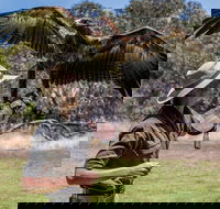 One Day Kangaroo Island Sip  See tour with return ferry transfers from Adelaide - Kawana Tourism