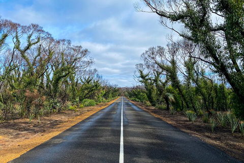 2 Day Ultimate Kangaroo Island With Return Ferry - Kawana Tourism 4