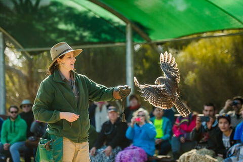 Full Day Kangaroo Island Sip And See Tour Departing From Kangaroo Island - Kawana Tourism 1