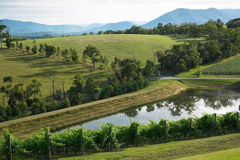 Yarra Valley Wine And Cider Tours By Classic Convertibles From Melbourne - Kawana Tourism 1
