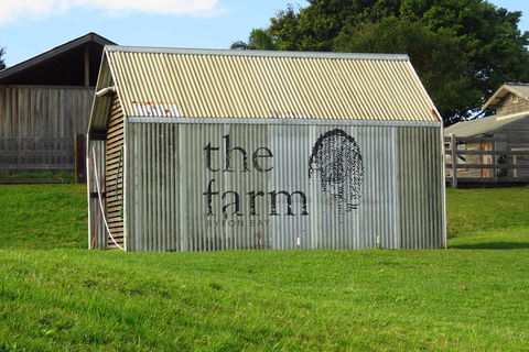 3-Hour Small-Group Byron Bay Tour - Kawana Tourism 3