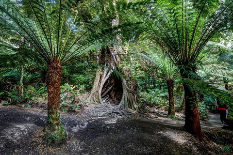 Adelaide To Melbourne 3-Day Trip Through Grampians And Great Ocean Road - Kawana Tourism 0