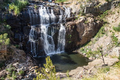 Grampians National Park With Kangaroos And MacKenzie Falls From Melbourne - Kawana Tourism 1