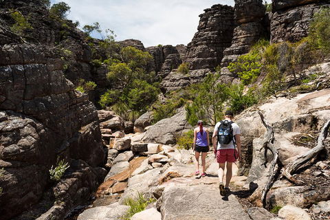 Grampians National Park With Kangaroos And MacKenzie Falls From Melbourne - Kawana Tourism 3