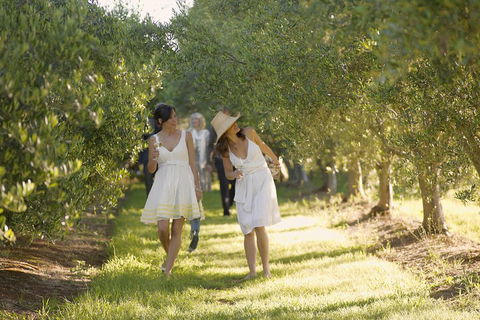 Yarra Valley Wine Tour With Local Harvest Tastings From Melbourne - Kawana Tourism 0