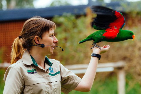 VIP Sanctuary Tour At Healesville Sanctuary Ticket - Kawana Tourism 0