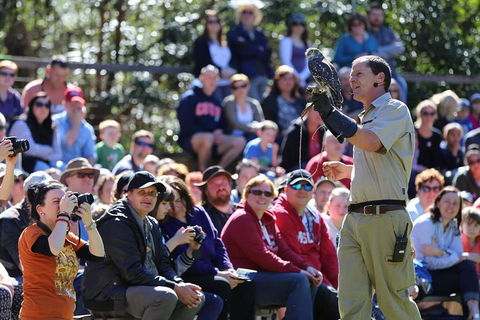 VIP Sanctuary Tour At Healesville Sanctuary Ticket - Kawana Tourism 4