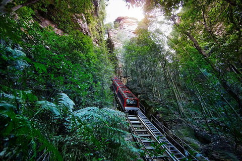 Private Blue Mountains Tour - Kawana Tourism 0