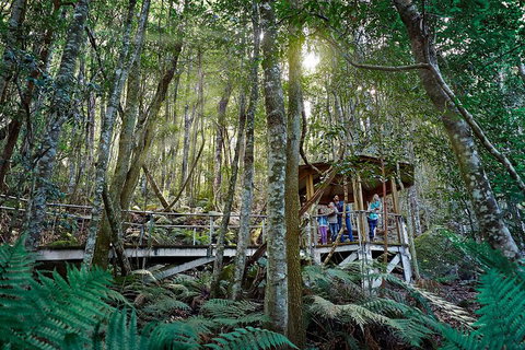 Private Blue Mountains Tour - Kawana Tourism 4