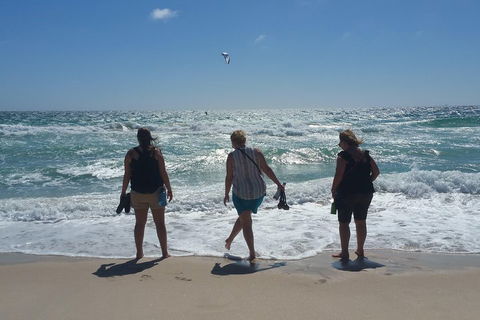 Very Best Of Perth Tour - Wildlife Park & City Highlights Tour - Kawana Tourism 5