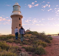 6-Day Coral Coaster from Perth to Exmouth One-Way via Monkey Mia Ningaloo Reef - Kawana Tourism