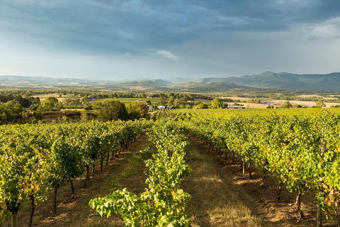 Yarra Valley Local Produce And Wine Tasting Tour - Kawana Tourism 3