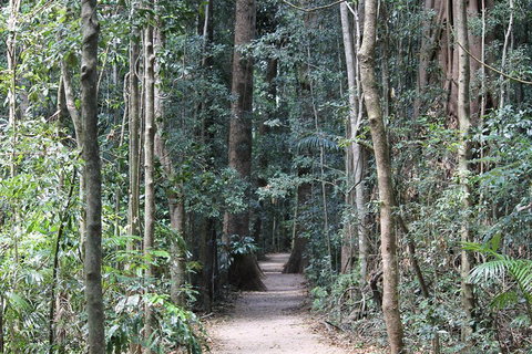 Eumundi Markets And Sunshine Coast Day Trip From Brisbane - Kawana Tourism 4