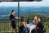 Sunshine Coast Hinterland Rainforest Views and Montville Day Tour Inc. Lunch, Noosa