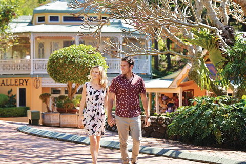 Sunshine Coast Hinterland Rainforest, Views And Montville Day Tour Inc. Lunch - Kawana Tourism 4