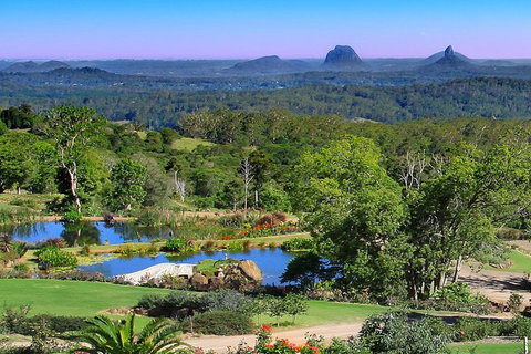 Sunshine Coast Hinterland Rainforest, Views And Montville Day Tour Inc. Lunch - Kawana Tourism 5